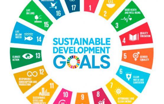 أهداف التنمية المستدامة ‫‬
